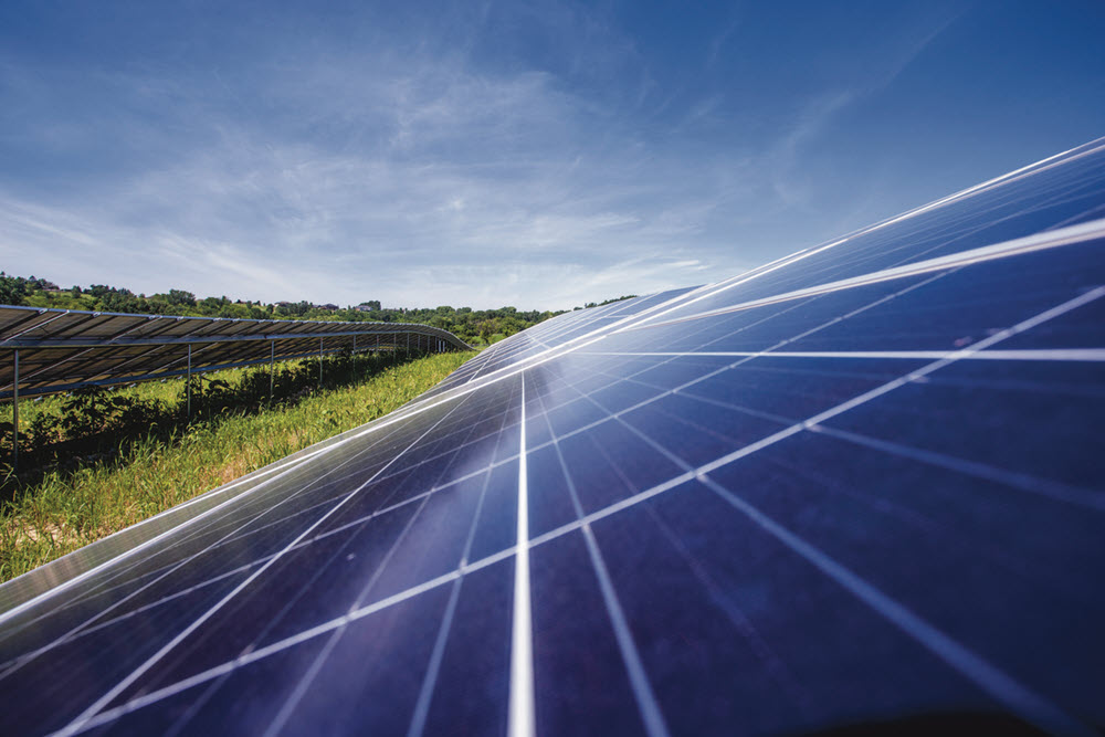 Solar panels in field