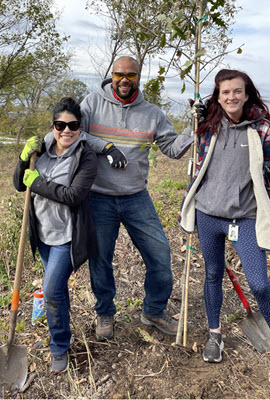 three people planting trees